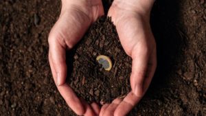 أهم مجالات الاستثمار الزراعي في تركيا